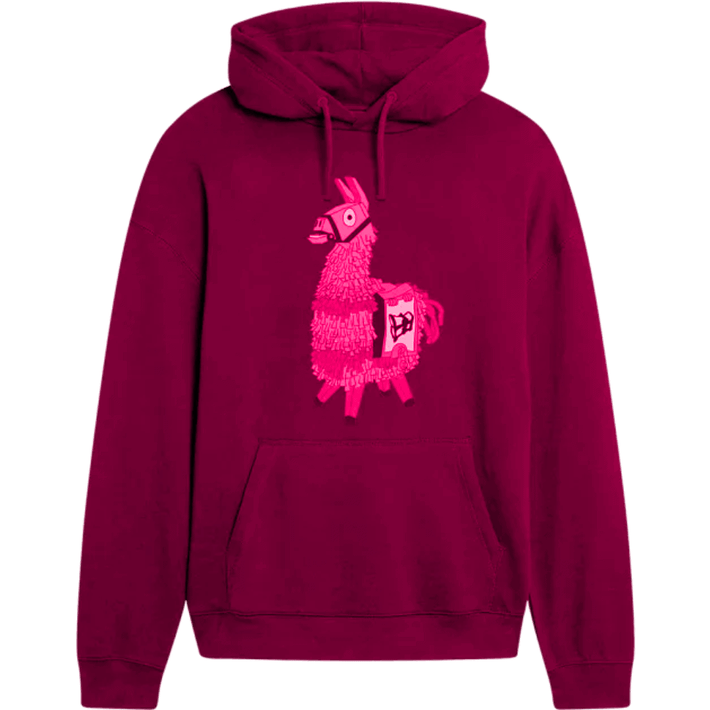 Winter Hoodies - Imagen 3